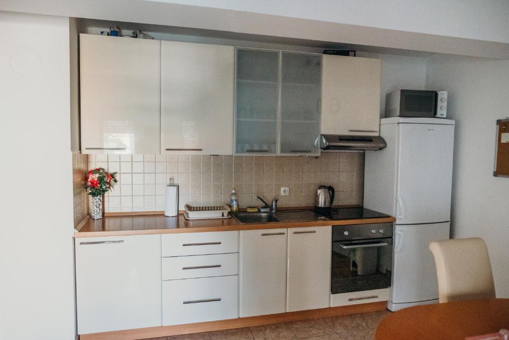 Kuchyň nebo kuchyňský kout v ubytování Apartman "JOKA"