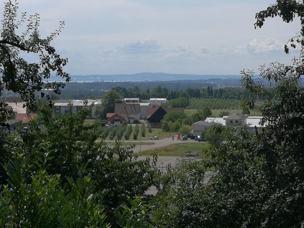 Příroda nedaleko apartmánu