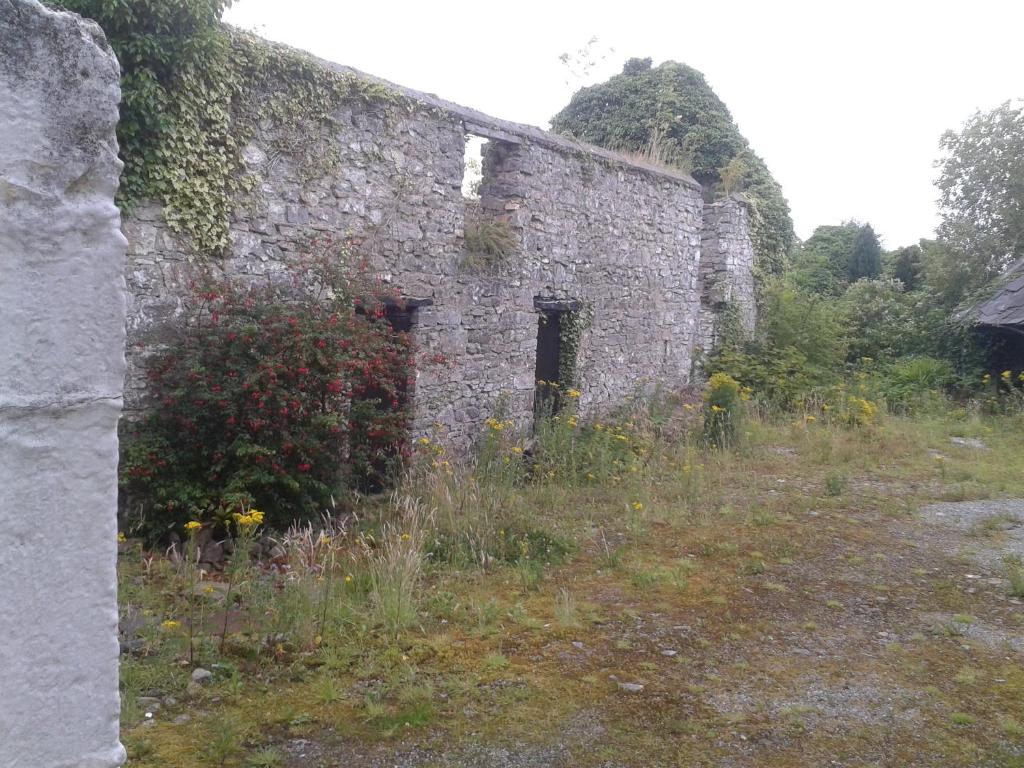 un vecchio edificio in pietra con erbacce che crescono intorno a esso di The Townhouse a Claremorris