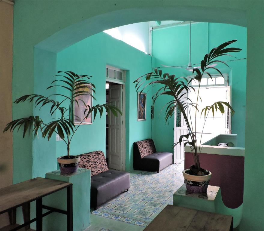 Posezení v ubytování Guaya Hostel