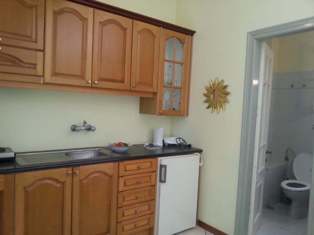 Kjøkken eller kjøkkenkrok på Rigos Apartments
