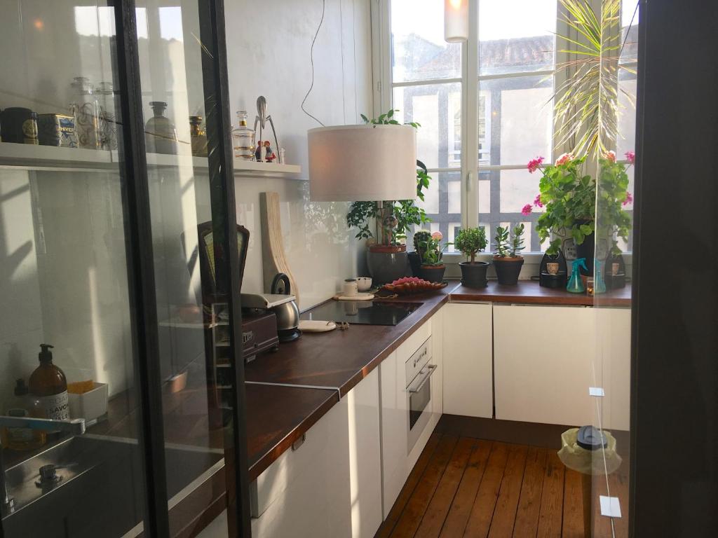 a kitchen with white cabinets and a window with plants at The Appart 90m2 au coeur de la vieille ville in La Rochelle