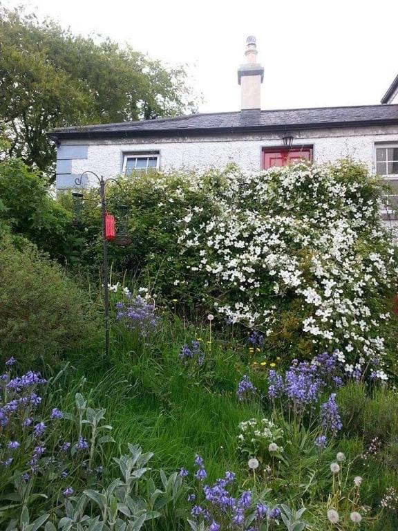 Zahrada ubytování Gormanstown House Apt, The Island