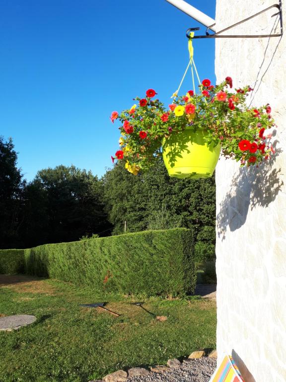 una maceta amarilla de flores colgando de una pared en Gite de Lac Tranquille, en Plaud