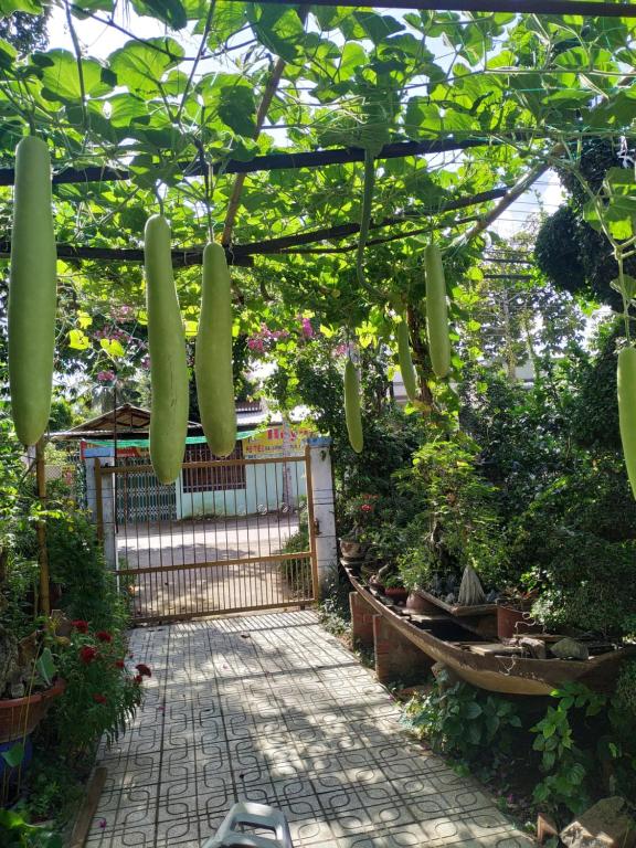 Mecong Homestay - 19