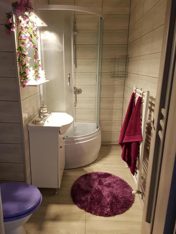 特爾古穆列什的住宿－Heartplace，一间带水槽、卫生间和淋浴的浴室
