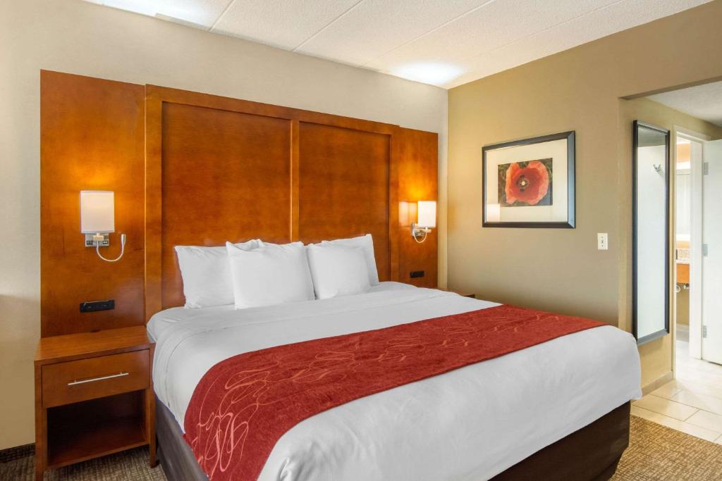 Comfort Suites Southpark - Suite King - Non Fumatori