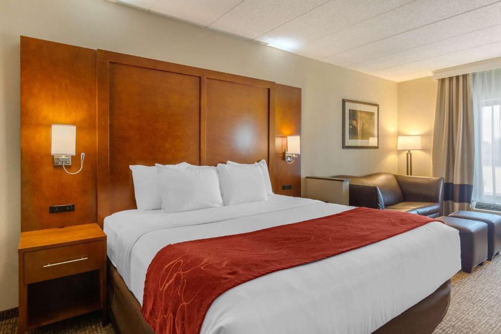 Comfort Suites Southpark - Camera King Standard - Non Fumatori