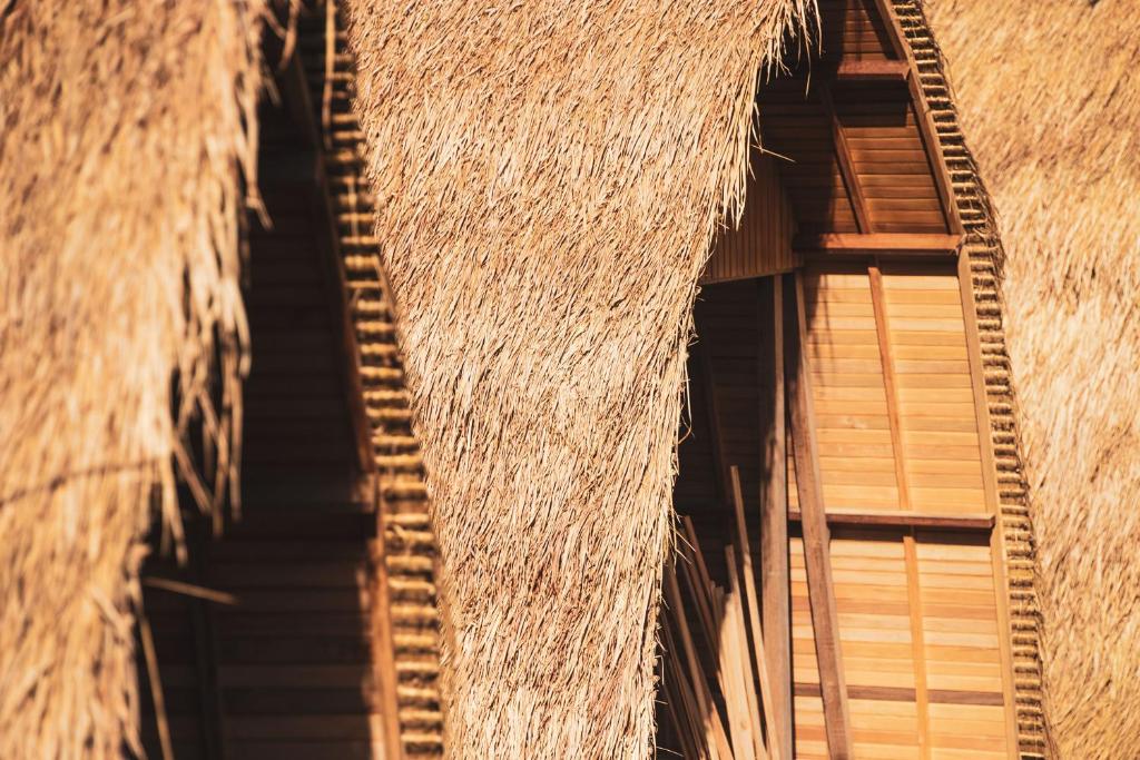 Majango Bungalows - 9