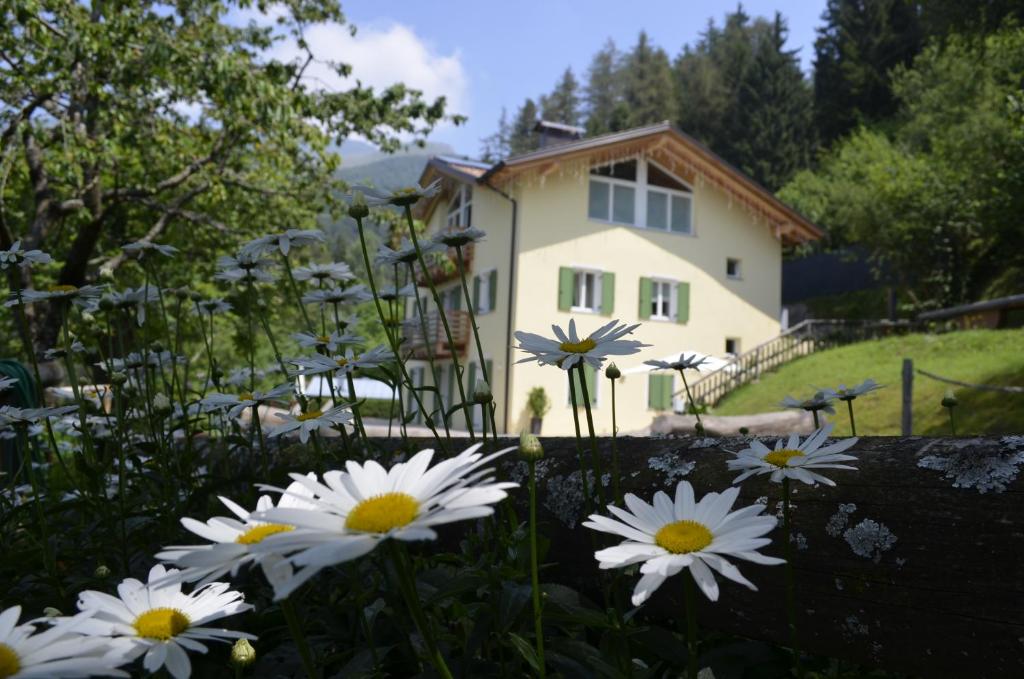 una casa con flores blancas delante de ella en Vello d'Arco a quota 1000 mt, en Arco