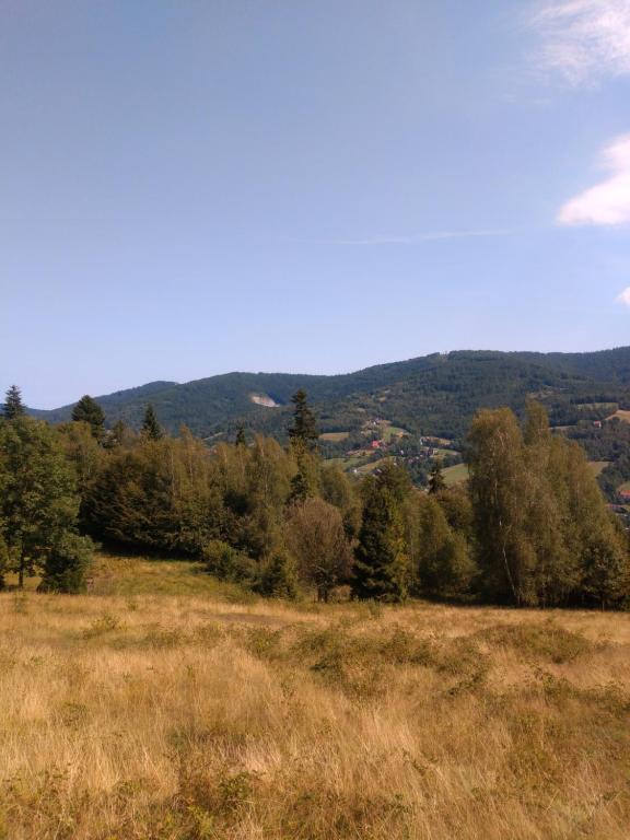 Príroda v okolí apartmánu