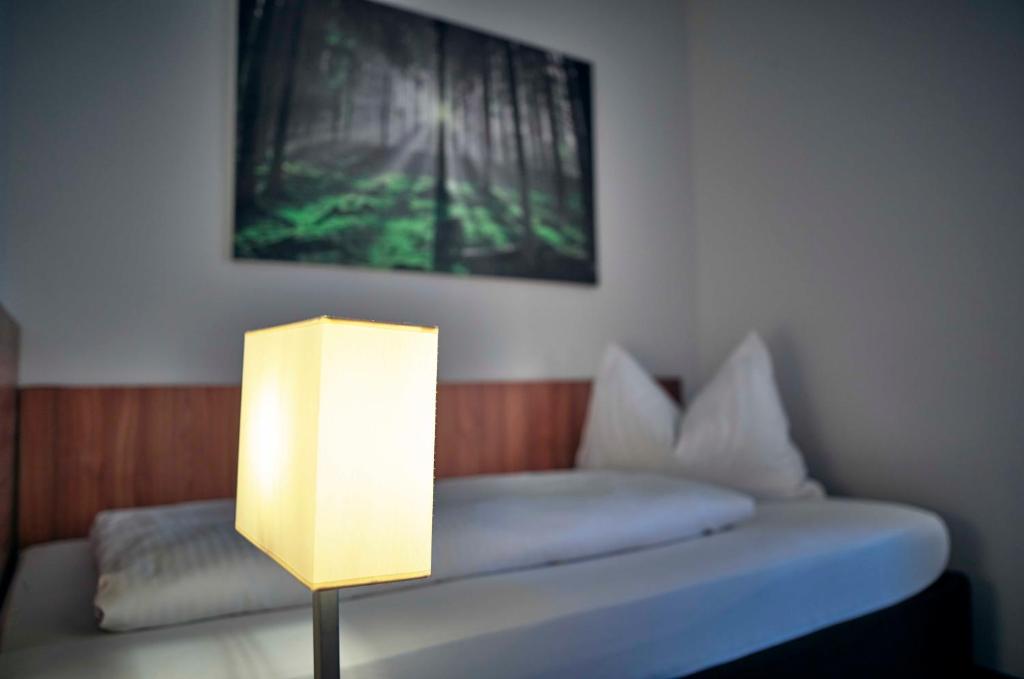Hotel Lindenhof - 经典单人间
