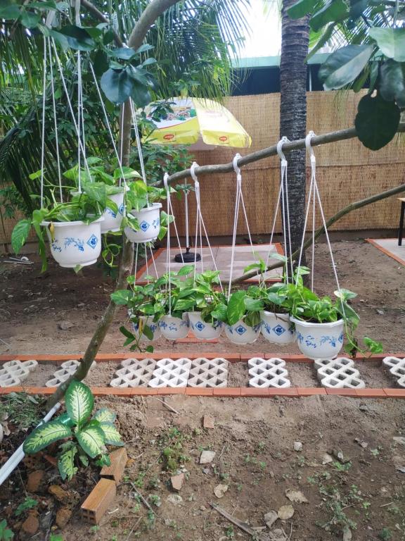 Mecong Homestay - 15