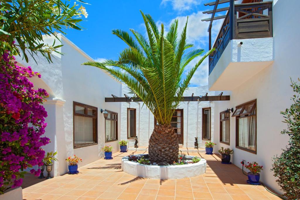 Zahrada ubytování Villa Dune