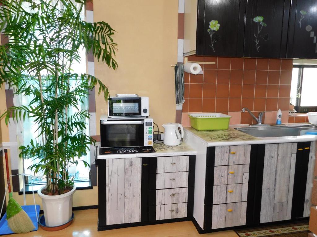 Kuchyň nebo kuchyňský kout v ubytování Guesthouse Shang