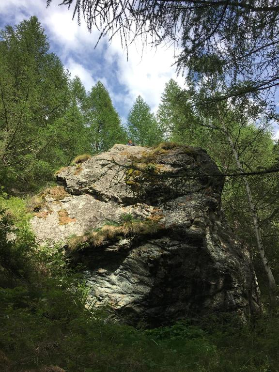 Příroda nedaleko prázdninového domu