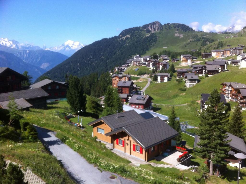 a village on a hill with mountains in the background at Chalet Enzian in Riederalp