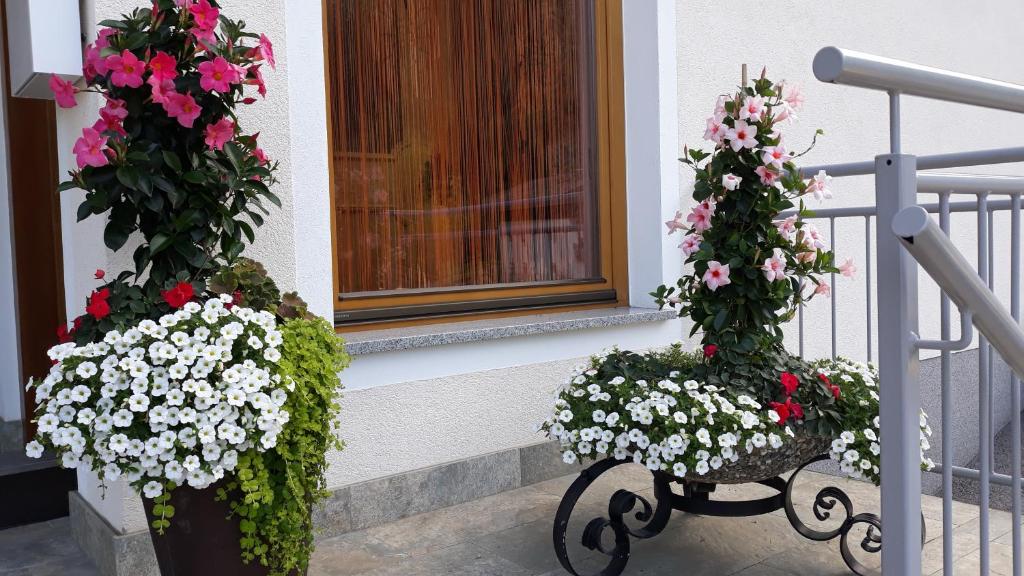 Fotografie z fotogalerie ubytování Haus Binder v destinaci Ried im Zillertal
