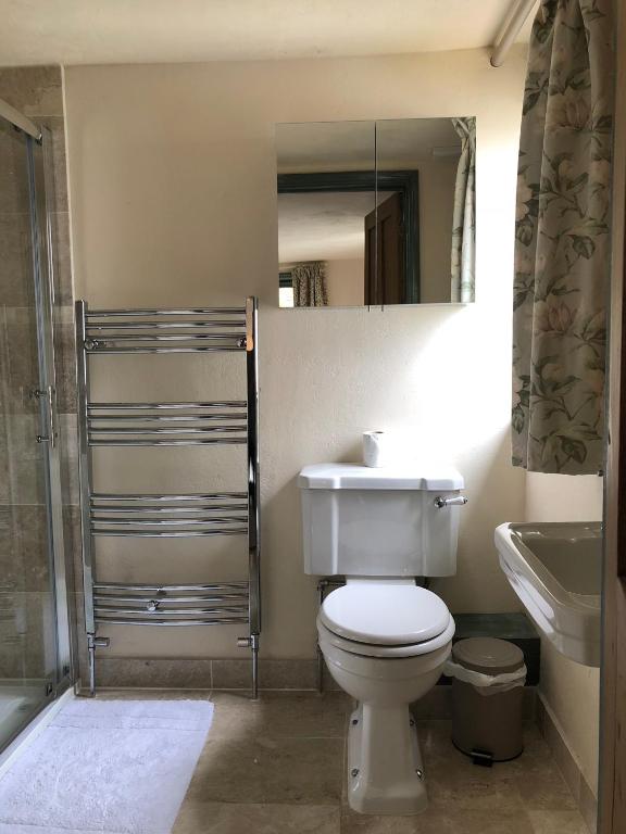 a bathroom with a toilet and a sink and a mirror at The Tea House in Rye