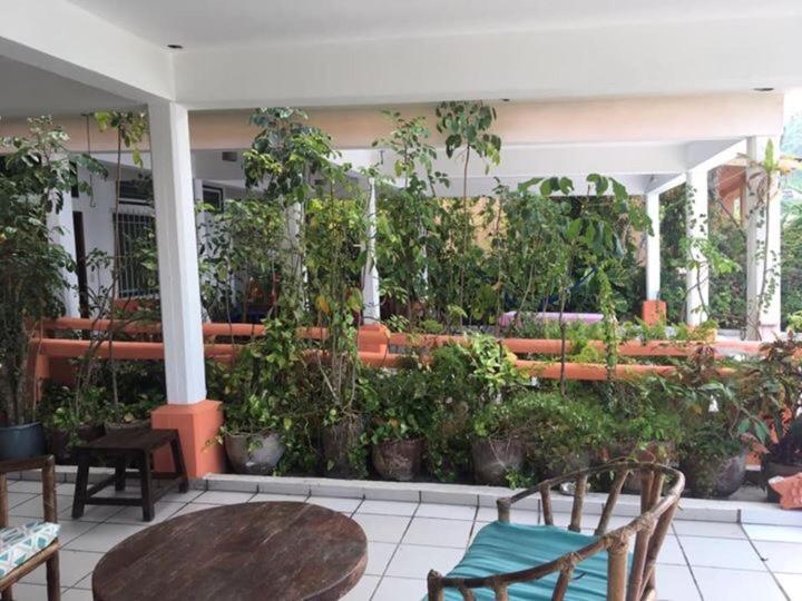 Bungalows pacíficos - Apartamento Con Vistas Al Mar