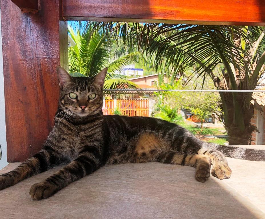  Espaço Aba Maranata