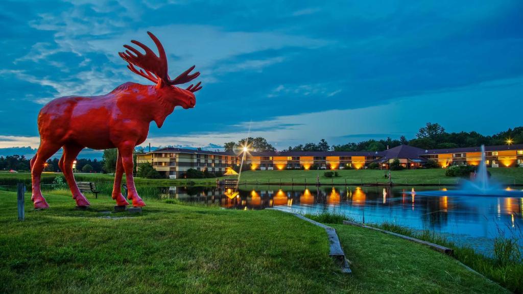 eine Statue eines Elchs, der auf dem Gras in der Nähe eines Flusses steht in der Unterkunft SureStay Plus Hotel by Best Western Black River Falls in Black River Falls