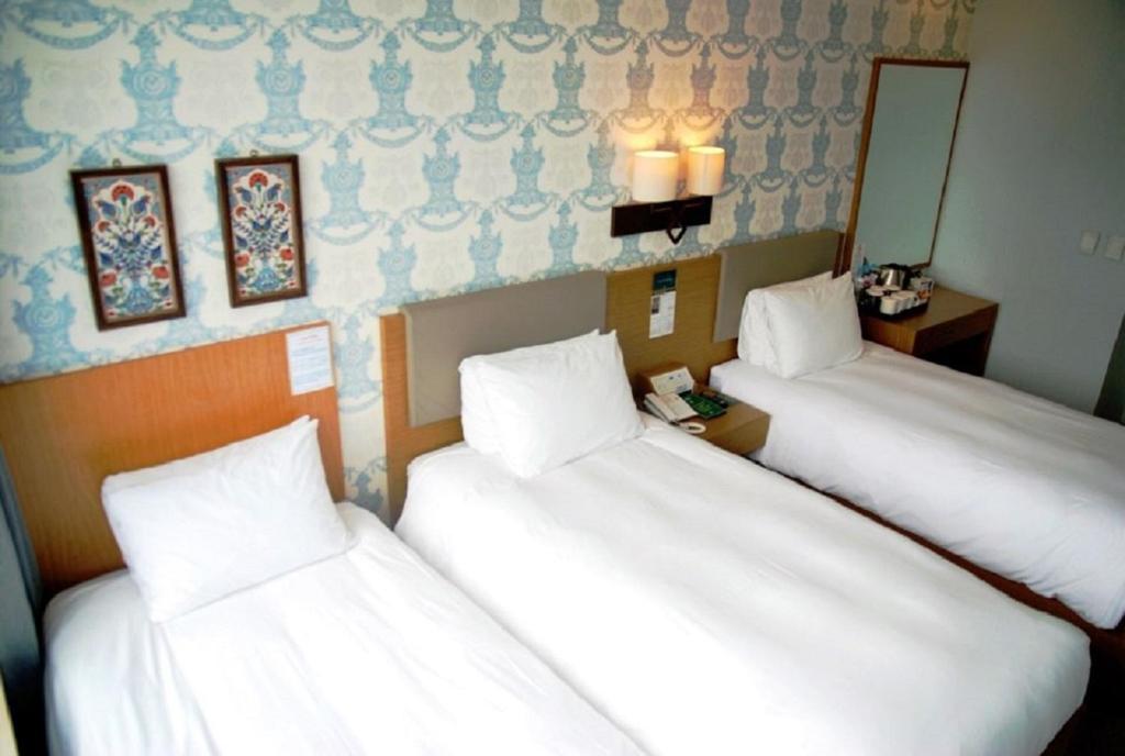 Migliore Hotel Seoul Myeongdong - Triple Room