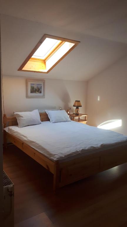 a bedroom with a large bed with a skylight at Тодор Прегьов in Bansko