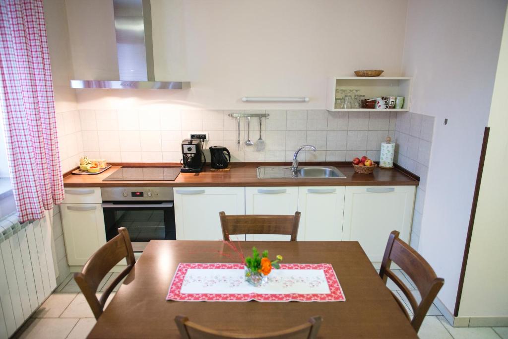 Kuchyň nebo kuchyňský kout v ubytování Guesthouse Muha