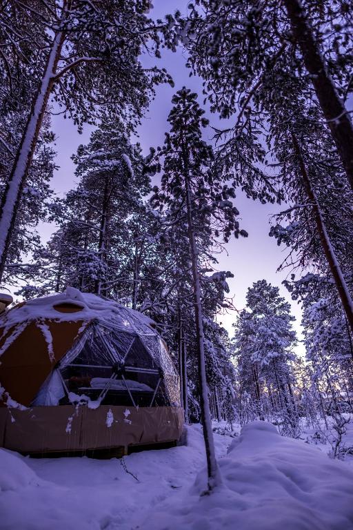 a tent in the middle of a snowy forest at GLØD Aurora Canvas Dome in Alta