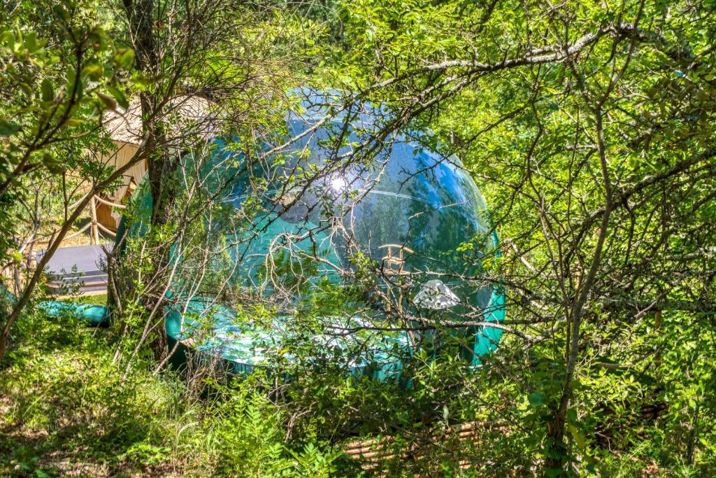Domaine de l'Insolite - immagine 2
