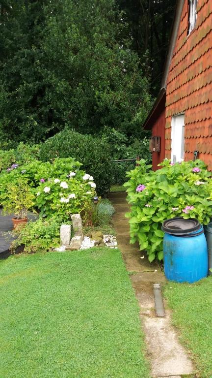 a garden with a blue barrel in the grass at Ferienwohnung Im Waldwinkel in Stadthagen