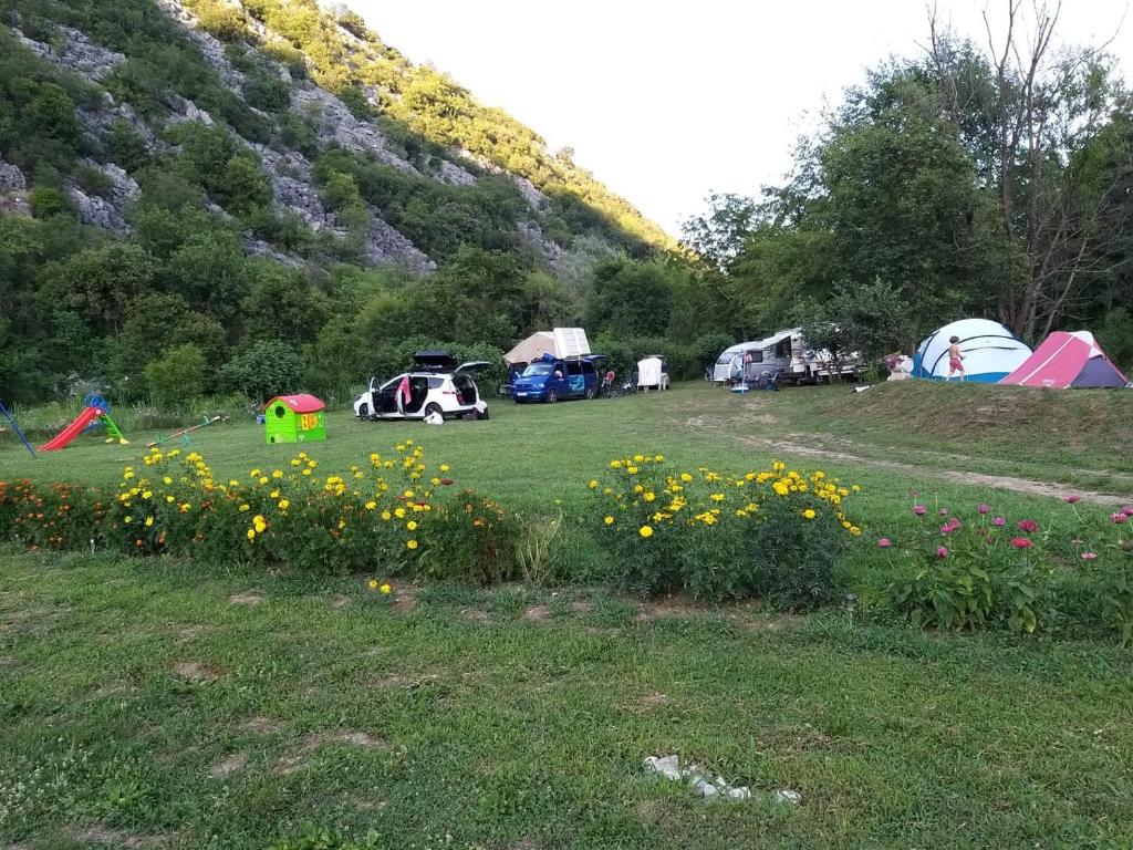 Příroda nedaleko kempu
