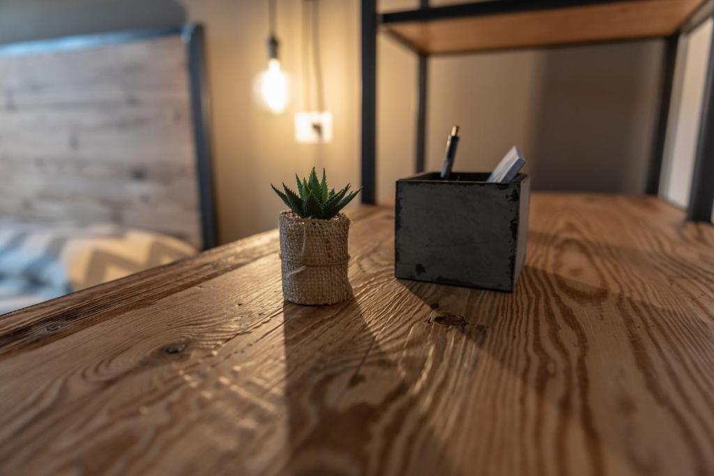 a wooden table with a potted plant on top of it at Officina Rooms in Como