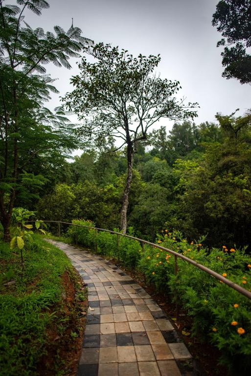 Zahrada ubytování Abad Brookside Wayanad