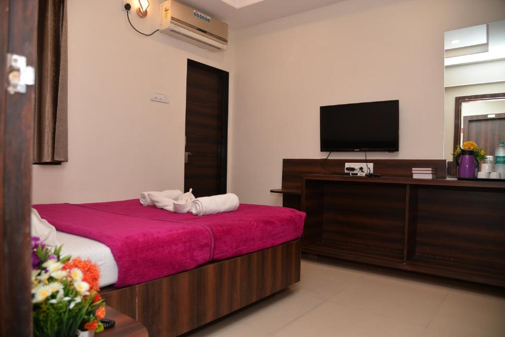 TV a/nebo společenská místnost v ubytování Hotel Disha Palace