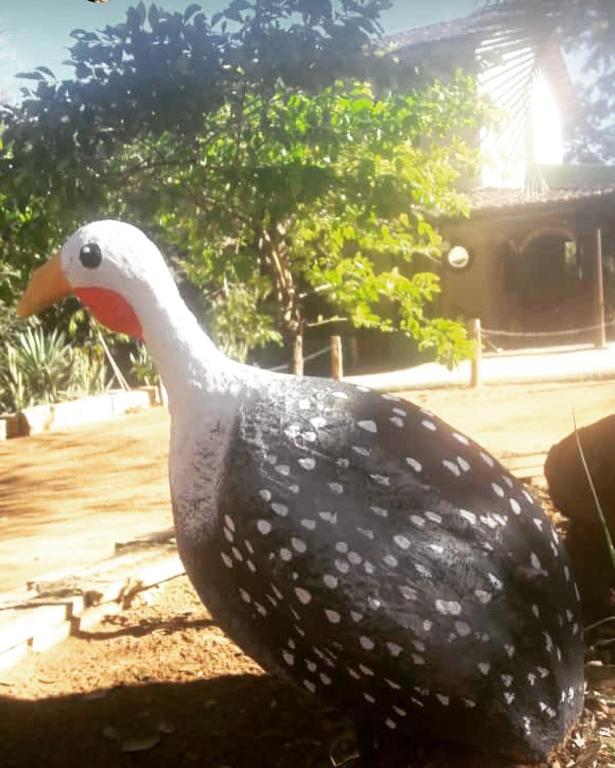  Pousada Vila Cintra