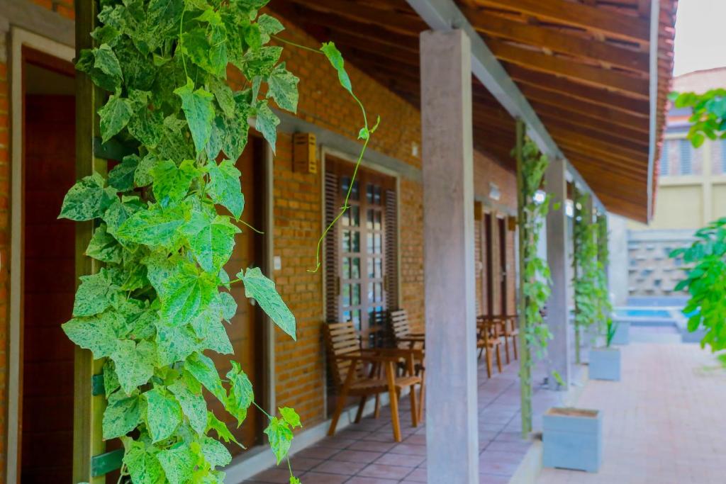 Zahrada ubytování Olinia Airport Hotel