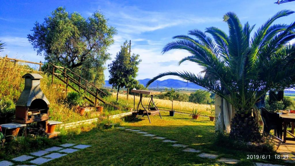 un jardín con una palmera y una mesa en Casa vacanze Grancia, en Grosseto