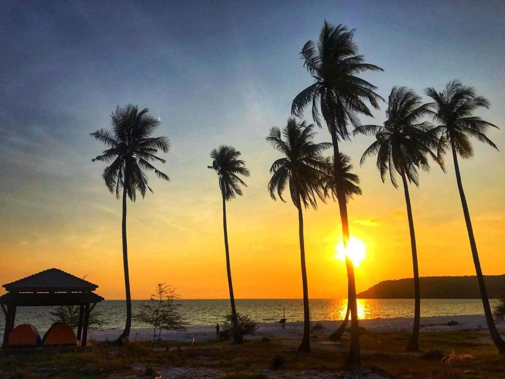 a group of palm trees on the beach at sunset at Soksan Natura Beach in Koh Rong Island