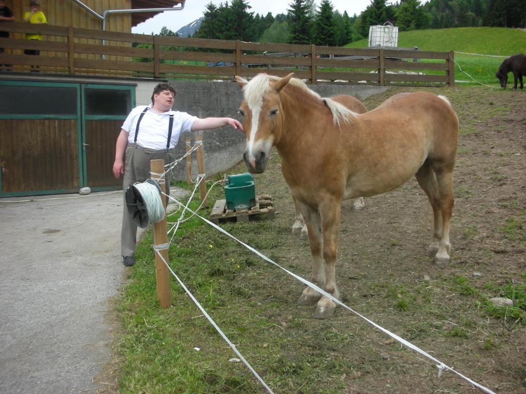 Zvířata v farmy nebo okolí