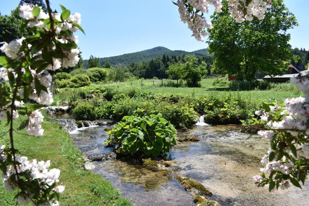 Príroda v okolí of the country house