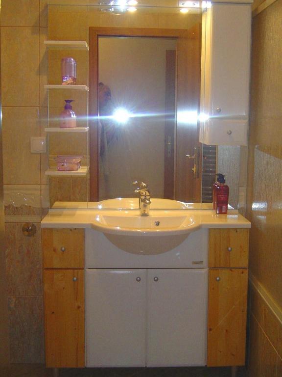 Koupelna v ubytování Apartmani Almica