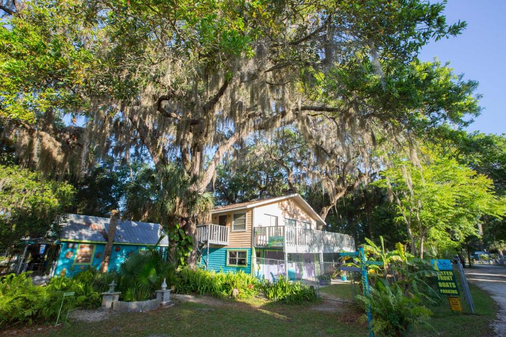 a house in front of a large tree at Riverfront Treetop Bungalow in Homosassa