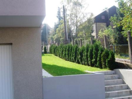 Zahrada ubytování Apartmani Almica