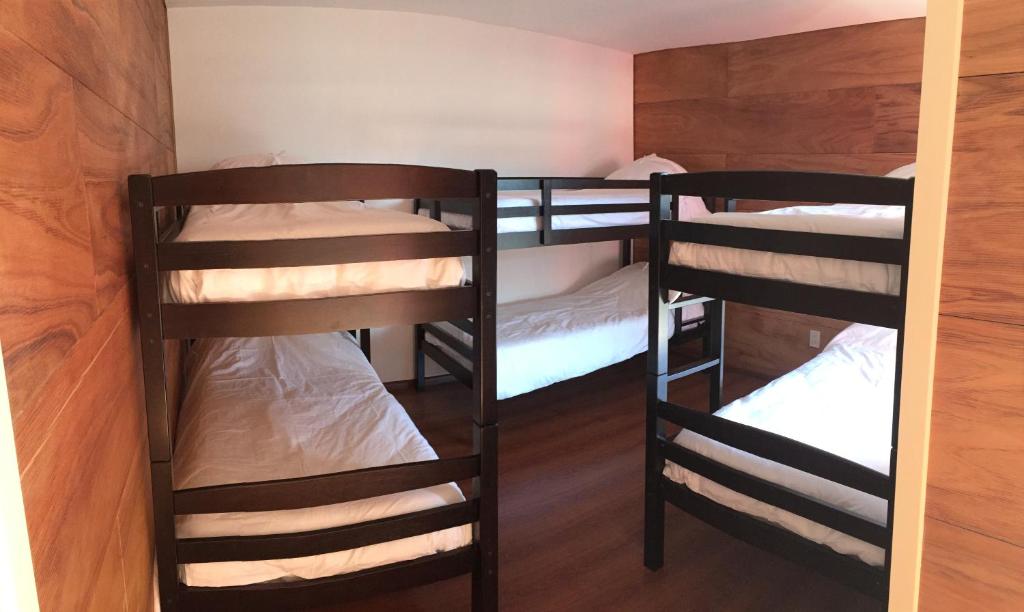 Circus Hostel&Hotel Montevideo - Triple Room