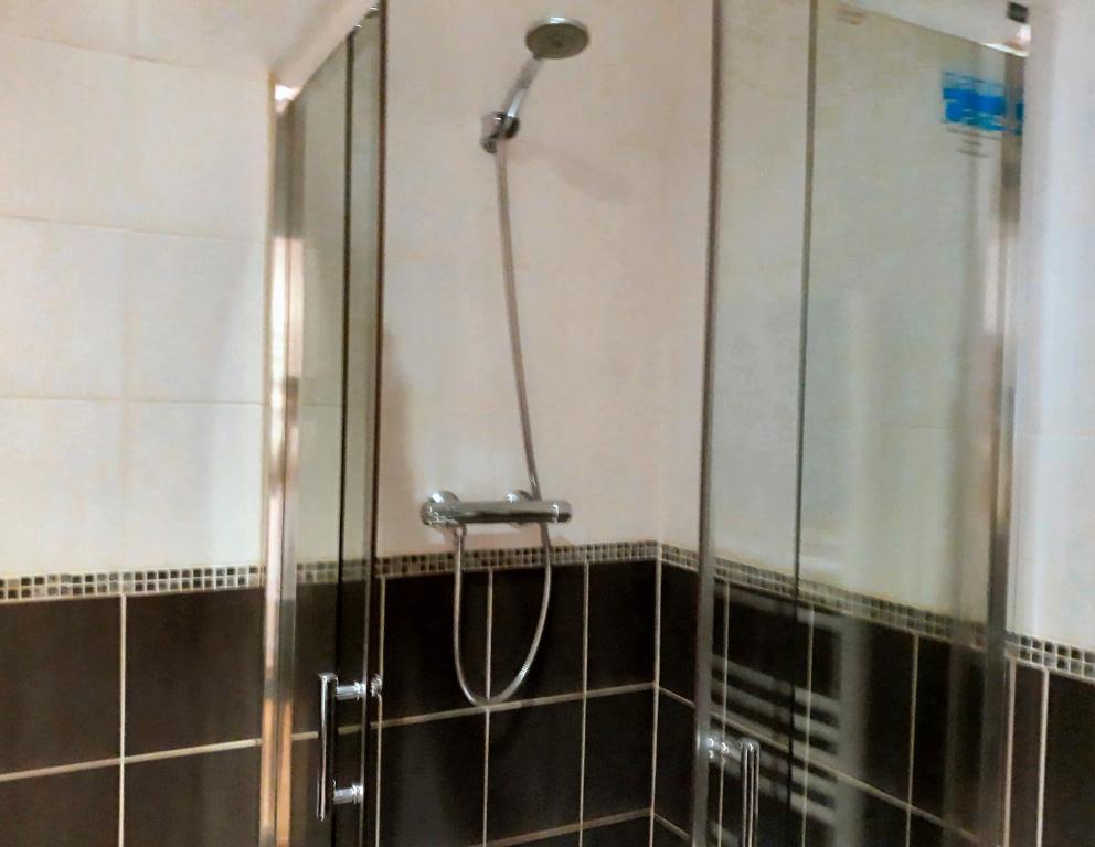 une douche avec une porte vitrée dans une salle de bain dans l'établissement Appartements Le Vivier 1er ou rez de chaussée avec parking, à Boulogne-sur-Mer