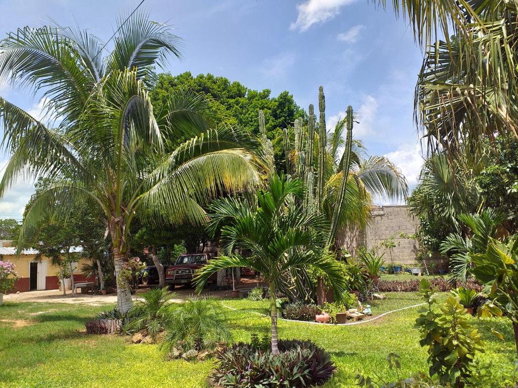 Aed väljaspool majutusasutust Casa Palagui Colonial