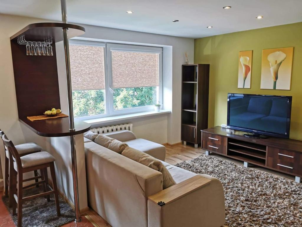 a living room with a couch and a tv at Aukštaičių apartamentai in Rokiškis