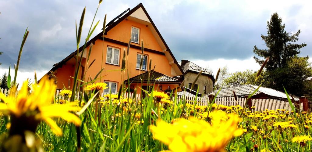una casa con un campo de flores delante de ella en Dom Gościnny Orange, en Wysowa-Zdrój
